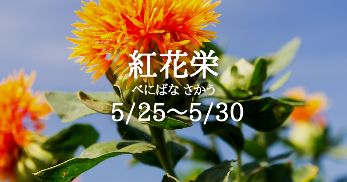 紅花栄 べにばなさかう の５日間です 5 26 5 30 Solarita