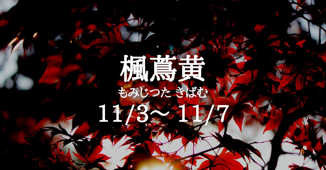 楓蔦黄（もみじ つた きばむ）の５日間です（11/3-11/7） | Solarita