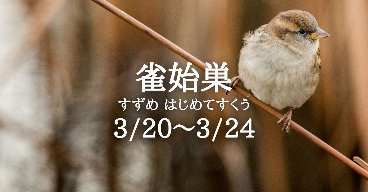 雀始巣」の時です (3/20-3/24) | Solarita