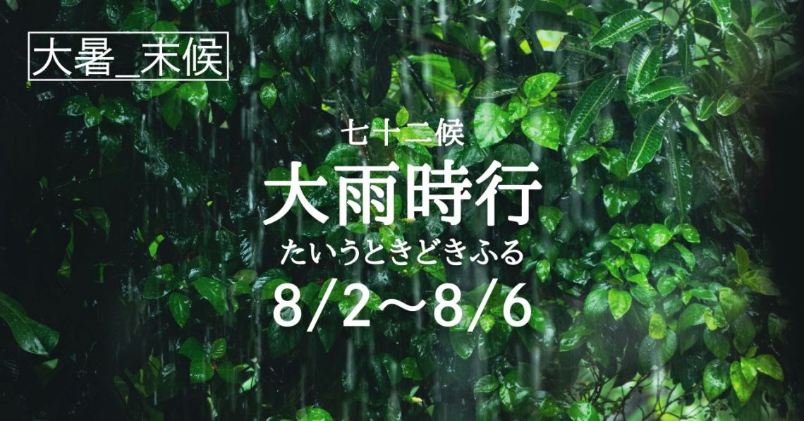 Amazon | Auyyhui 【2024新改良】開脚マシーン レッグスト