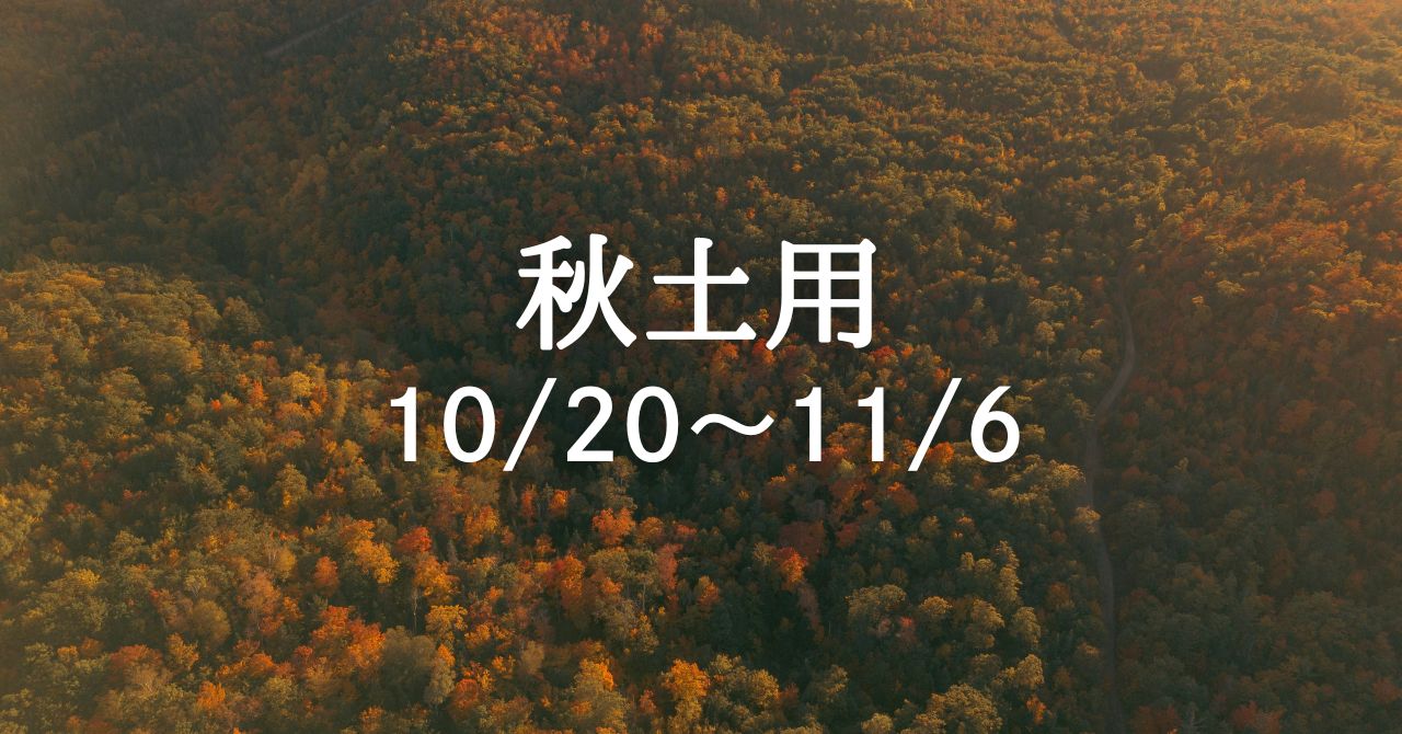 海月さん専用 2025冬季限定簪 泡沫海月二連簪-銀/金｜普段使いの簪・ヘア