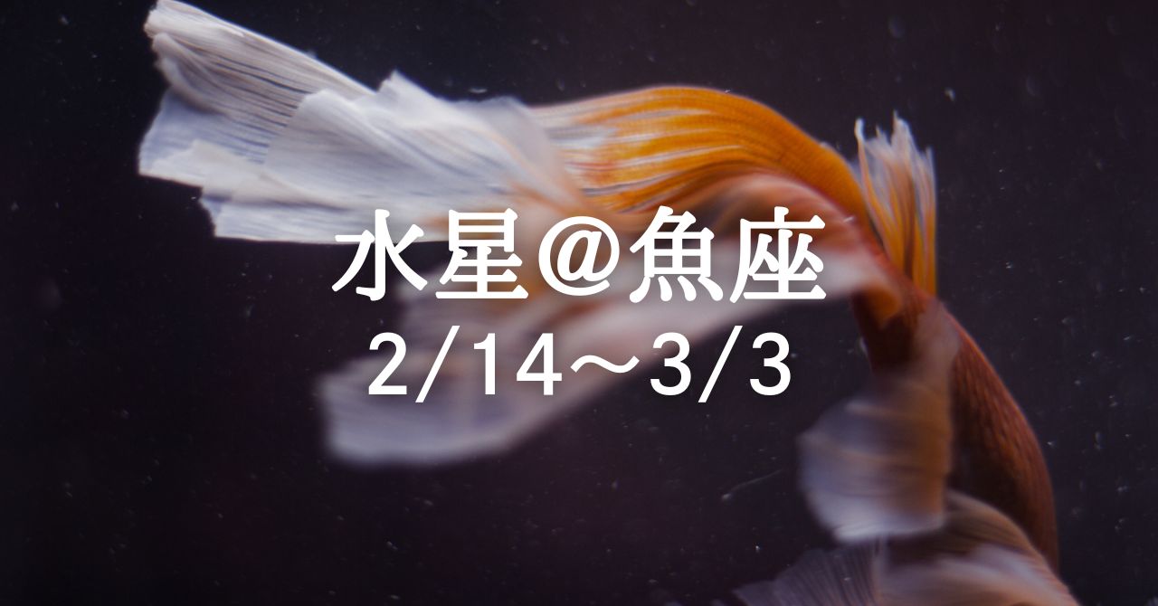 2月14日、水星が魚座へ移動！ 境界が溶けゆく世界で新たな繋がりを