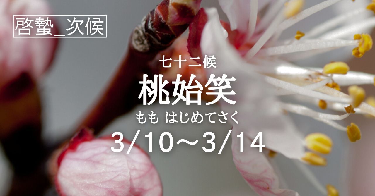 桃始笑」の5日間です (3/10-3/14) | Solarita