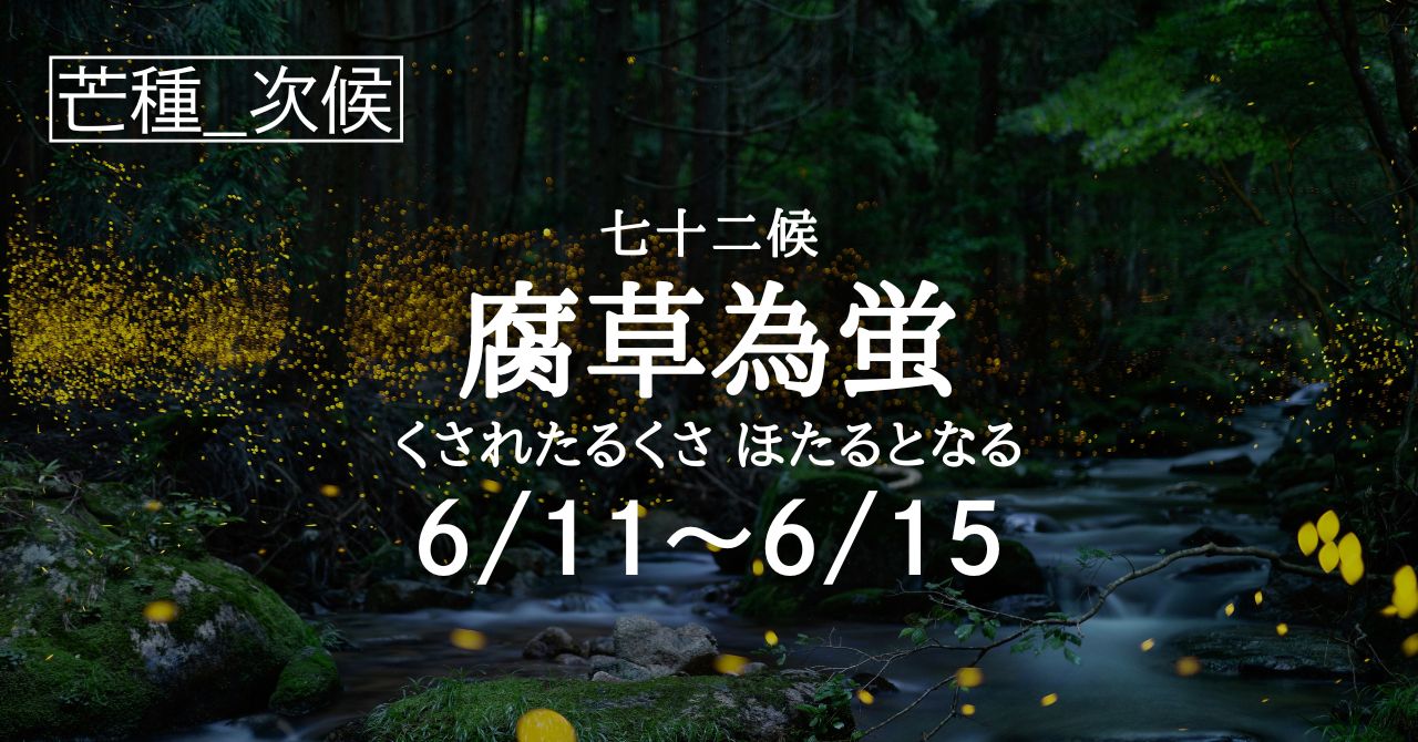 腐草為蛍（くされたるくさ ほたるとなる）の5日間です(6/11-6/15