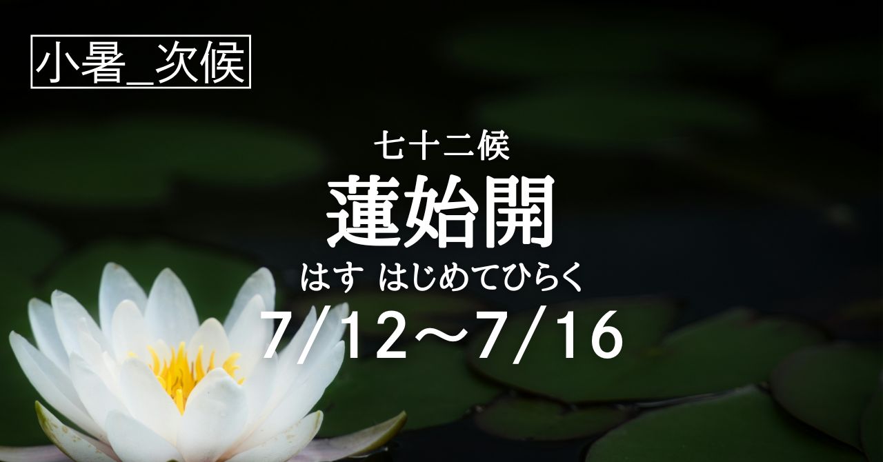 蓮始開（はす はじめてひらく）の5日間です(7/12-7/16) | Solarita