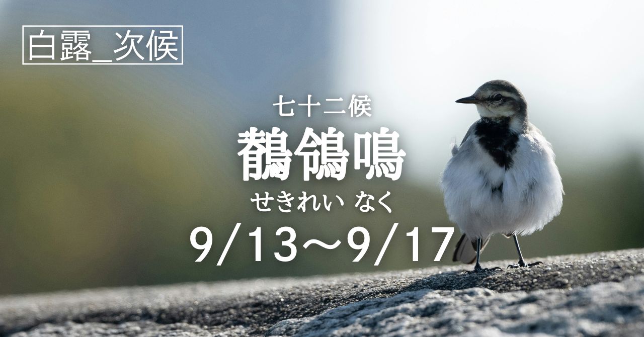 鶺鴒鳴 (せきれい なく）」の6日間です（9/13-9/17） | Solarita